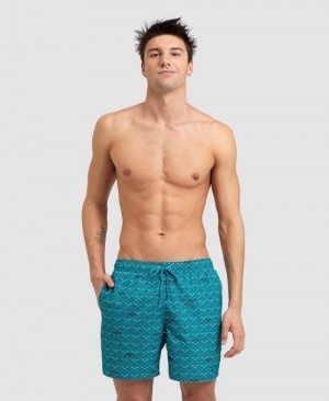 Arena Allover Beach Boxer Unterwäsche Herren Grün | 937428MLE