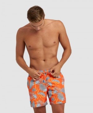 Arena Allover Beach Boxer Unterwäsche Herren Grau Mehrfarbig | 039475NEC