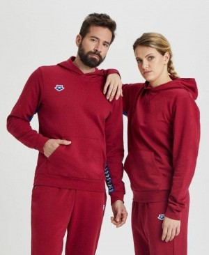 Arena Icons Solid Hooded Sweatshirt Pullover Damen Bordeaux Blau | 874630BQG