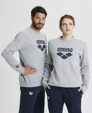 Arena Logo Crewneck Pullover Herren Grau | 123068RUO