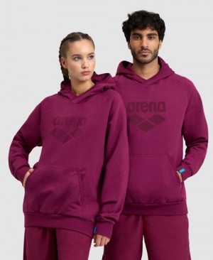 Arena Logo Hooded Sweatshirt Pullover Damen Mehrfarbig | 239487GNJ