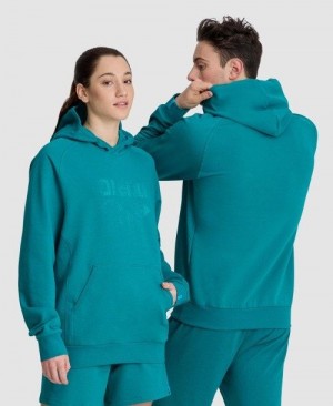 Arena Logo Hooded Sweatshirt Pullover Damen Mehrfarbig | 805914MBK