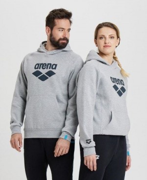 Arena Logo Hooded Sweatshirt Pullover Herren Mehrfarbig | 302579SNK