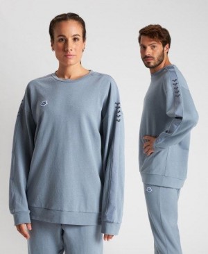 Arena Oversized Team Sweatshirt Pullover Herren Grau Grau | 170692BDO