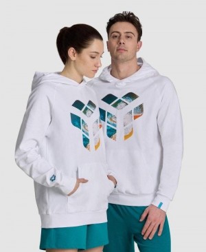 Arena Planet Water Hooded Sweat Pullover Herren Mehrfarbig | 351740YSK
