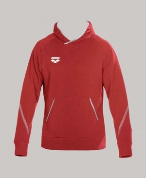 Arena Team Line Hoody Hoodie Herren Rot | 254791SPU